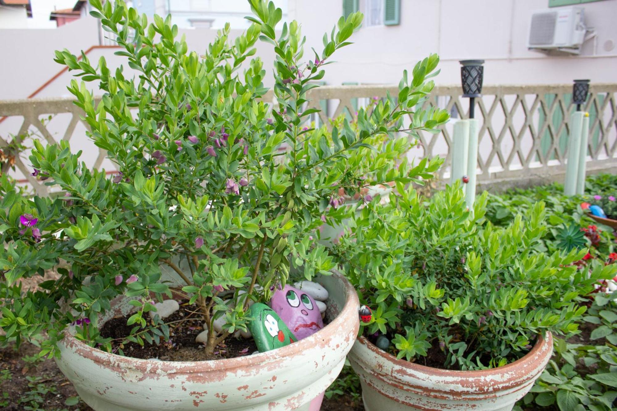 Apartamento La Coccinella Marina Di Pisa Exterior foto